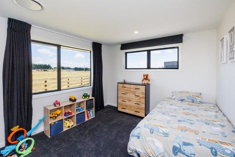 Photo of property in 151 Nannestads Line, Bunnythorpe, Palmerston North, 4775