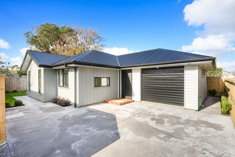 Photo of property in 10c Limbrick Street, Terrace End, Palmerston North, 4410