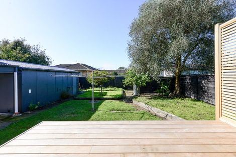 Photo of property in 4 Nelson Street, Hamilton East, Hamilton, 3216