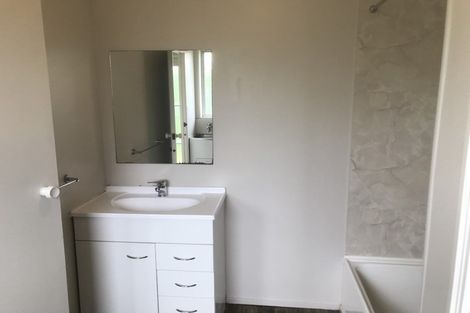 Photo of property in 249 Ulster Street, Whitiora, Hamilton, 3200