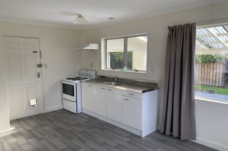 Photo of property in 90 Strathmore Avenue, Levin, 5510