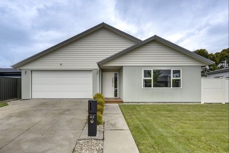 Photo of property in 45 Waimakariri Drive, Te Awa, Napier, 4110