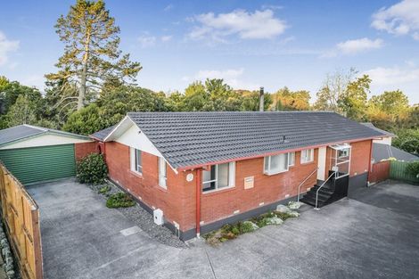 Photo of property in 9 Dunvegan Place, Dinsdale, Hamilton, 3204