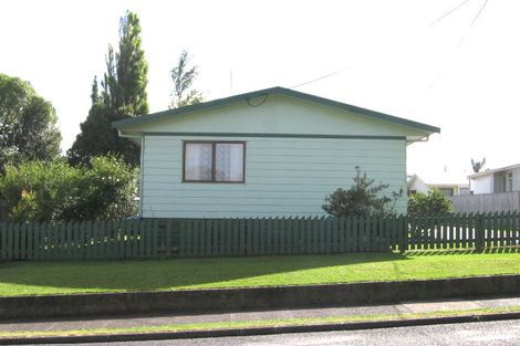 Photo of property in 39 Pomaria Road, Henderson, Auckland, 0610
