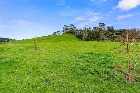 Photo of property in 29 Zanders Road, Helensville, 0882