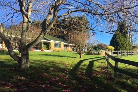 Photo of property in 10 Fairview Street, Tirau, 3410