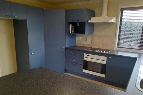 Photo of property in 17 Max Short Drive, Pukekohe, 2120