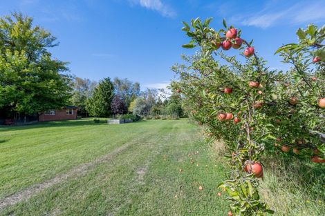 Photo of property in 209 Strode Road, Earnscleugh, Alexandra, 9391