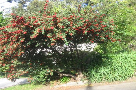 Photo of property in 84 Ikitara Road, Whanganui East, Whanganui, 4500