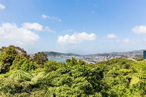 Photo of property in 14 Tensing Place, Khandallah, Wellington, 6035