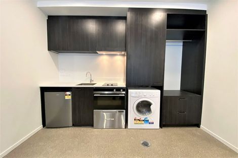 Photo of property in Aniva Terrace, 21 Arney Street, Newtown, Wellington, 6021