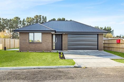 Photo of property in 21 Plover Avenue, Amberley, 7410