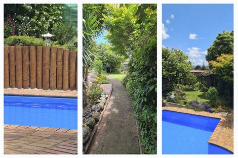 Photo of property in 16 Melva Street, Dinsdale, Hamilton, 3204