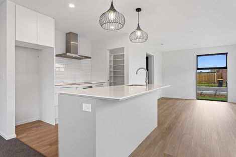 Photo of property in 12 John Gibb Street, Belfast, 8051