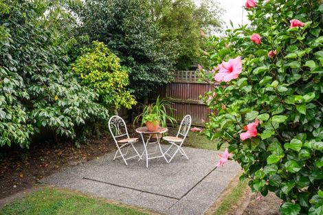 Photo of property in 459 College Street, Hokowhitu, Palmerston North, 4410