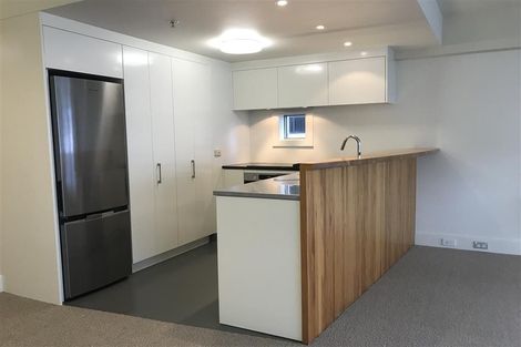 Photo of property in St Pauls Apartments, 111/43u Mulgrave Street, Thorndon, Wellington, 6011