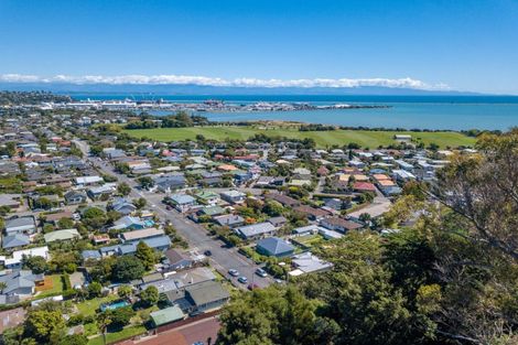 Photo of property in 101 Cambria Street, The Wood, Nelson, 7010