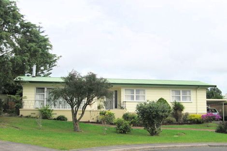 Photo of property in 4 Silver Birch Rise, Henderson, Auckland, 0612