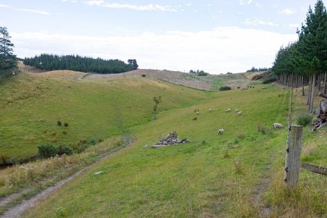Photo of property in 22 Halcombe Road, Feilding, 4702