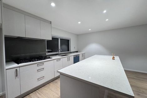 Photo of property in 13 Meritage Lane, Te Atatu South, Auckland, 0610