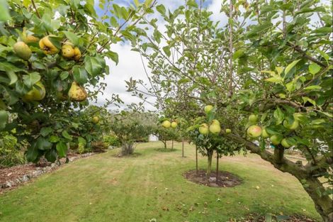 Photo of property in 234 Kawiu Road, Levin, 5510