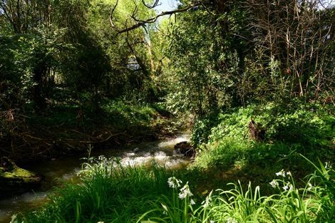 Photo of property in 431 Scotsman Valley Road, Tauwhare, Morrinsville, 3371