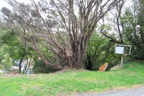 Photo of property in 7 Silverbirch Grove, Churton Park, Wellington, 6037