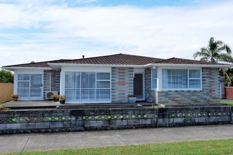 Photo of property in 1 Hadfield Street, Levin, 5510