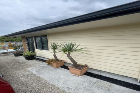 Photo of property in 44 Ian Sage Avenue, Torbay, Auckland, 0630
