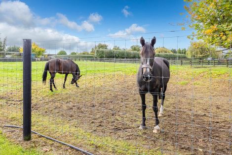 Photo of property in 35 Taplin Road, Matangi, Hamilton, 3283