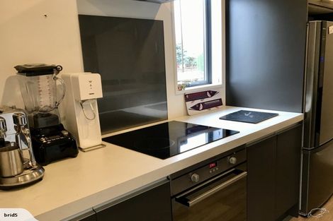 Photo of property in 161 Canon Street, Edgeware, Christchurch, 8013