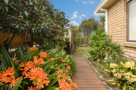 Photo of property in 13a Solway Place, Mount Maunganui, 3116