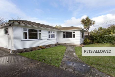 Photo of property in 3 Waters Street, Hoon Hay, Christchurch, 8025
