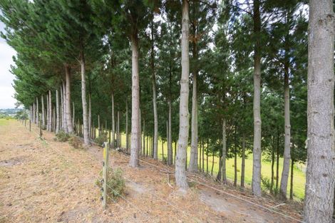 Photo of property in 22 Halcombe Road, Feilding, 4702