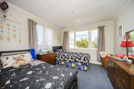 Photo of property in 55 Mcgregor Street, Milson, Palmerston North, 4414
