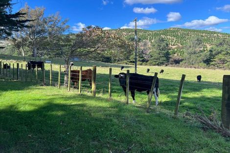 Photo of property in 923 Oporae Road, Waione, Dannevirke, 4971