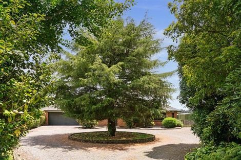 Photo of property in 928 Omanawa Road, Omanawa, Tauranga, 3171