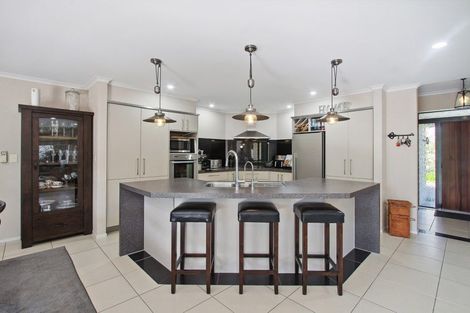 Photo of property in 47 Thomas Moore Place, Pukekohe, 2120