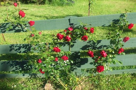 Photo of property in 24 Mary Street, Te Kuiti, 3910