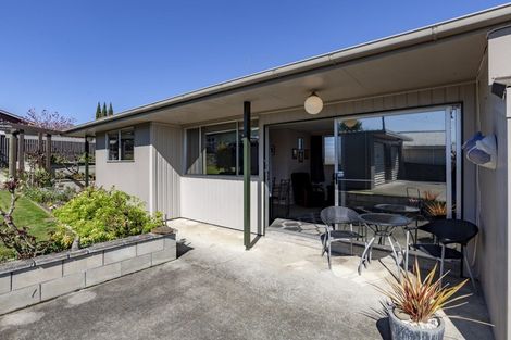 Photo of property in 39 Racecourse Road, Waipukurau, 4200