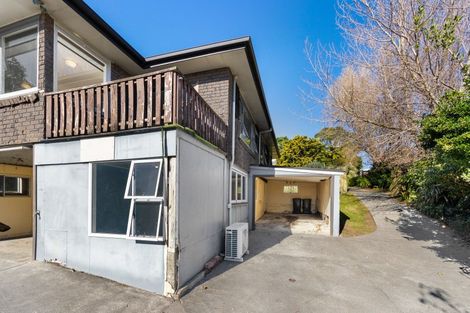 Photo of property in 114a Pioneer Road, Moturoa, New Plymouth, 4310