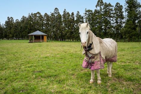 Photo of property in 438 Matangi Road, Matangi, Hamilton, 3284