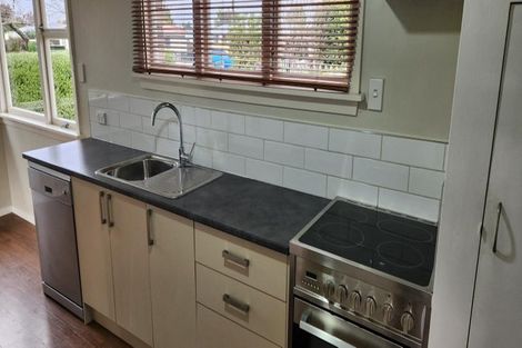 Photo of property in 77 Breens Road, Bishopdale, Christchurch, 8051