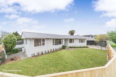 Photo of property in 49 Pitama Road, Awapuni, Palmerston North, 4412
