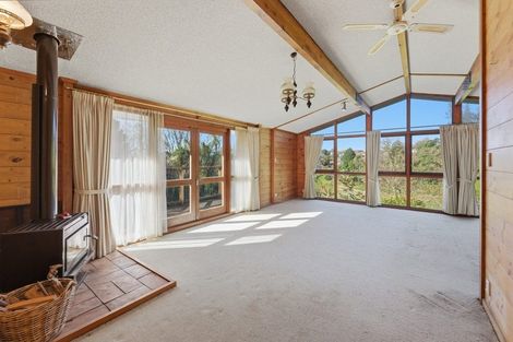 Photo of property in 17a Barclay Street, Ferndale, New Plymouth, 4310