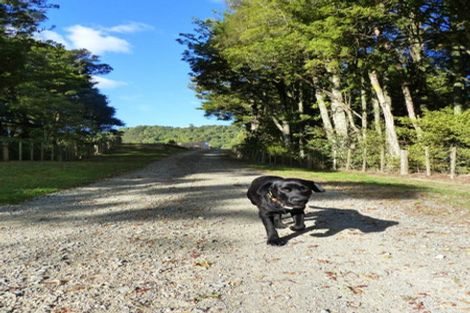 Photo of property in 81 Ti Tree Way, Hunua, 2583