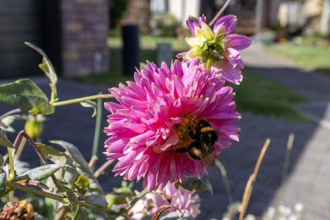 Photo of property in Rimu Village, 13/72 Rimu Road, Raumati Beach, Paraparaumu, 5032