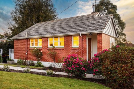 Photo of property in 17 Lowe Street, Liberton, Dunedin, 9010