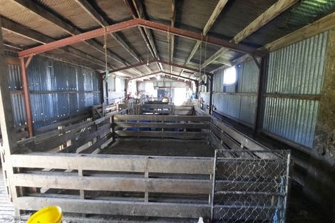 Photo of property in 183 Gunn Road, Warepa, Balclutha, 9273