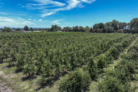 Photo of property in 7 Saint Andrews Road, Havelock North, 4130